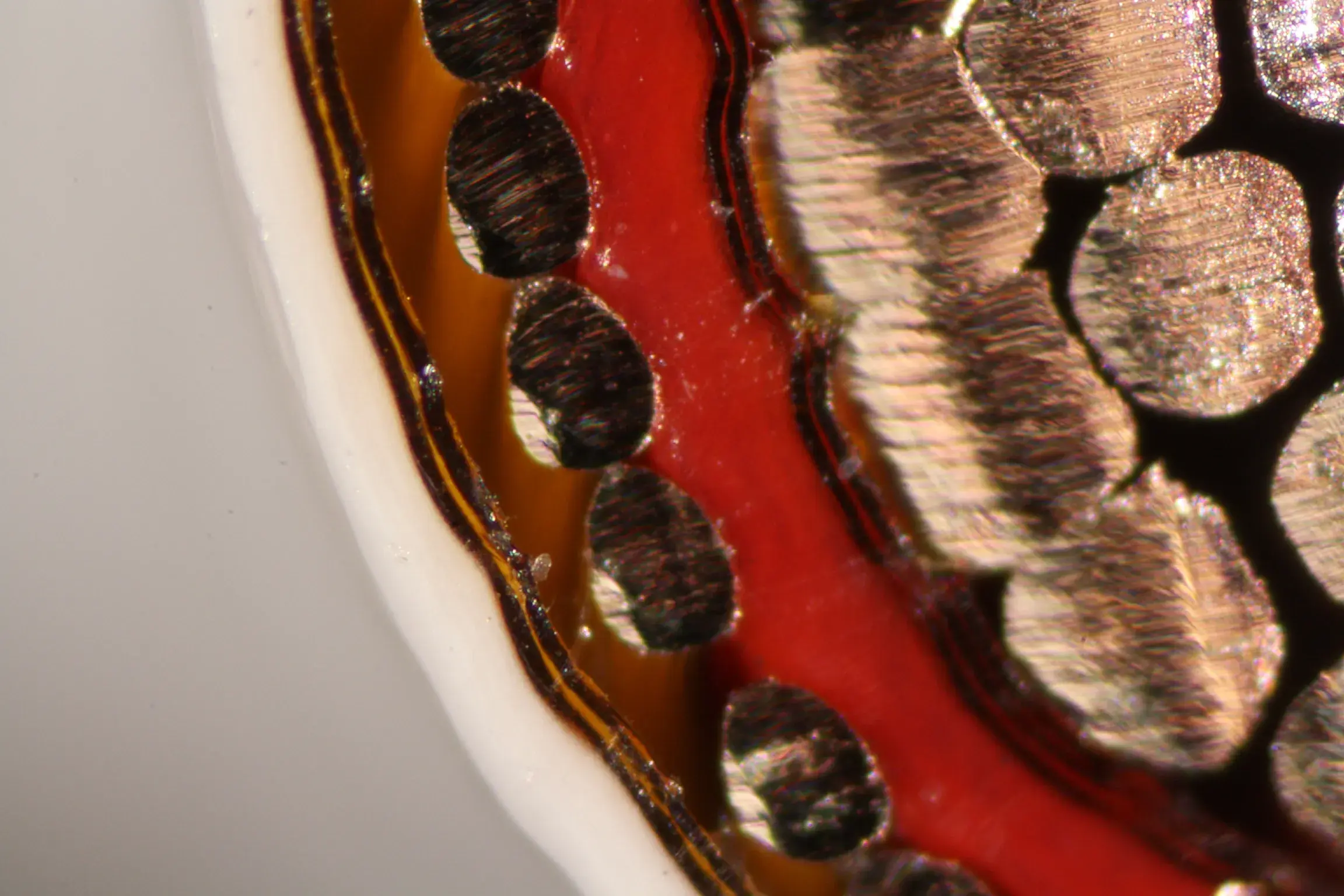 Multi layered wires with golden and brown colors.